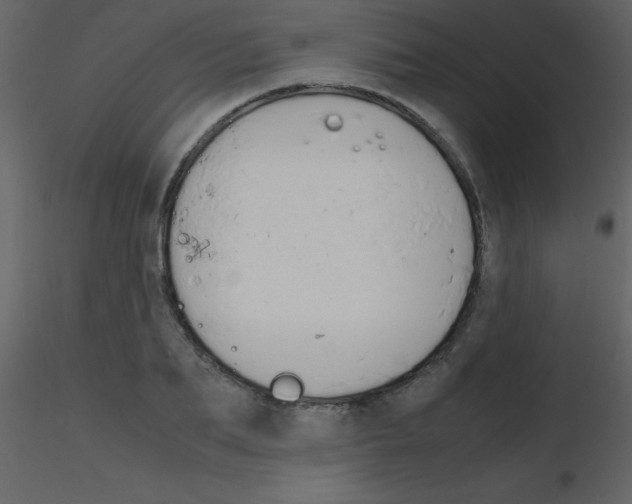 X0000115740887200912241645