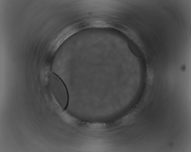 X0000115740889200912241645