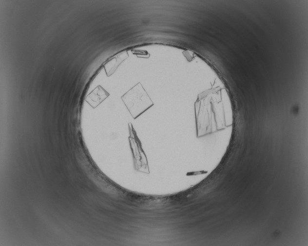 X0000115740891200912241645