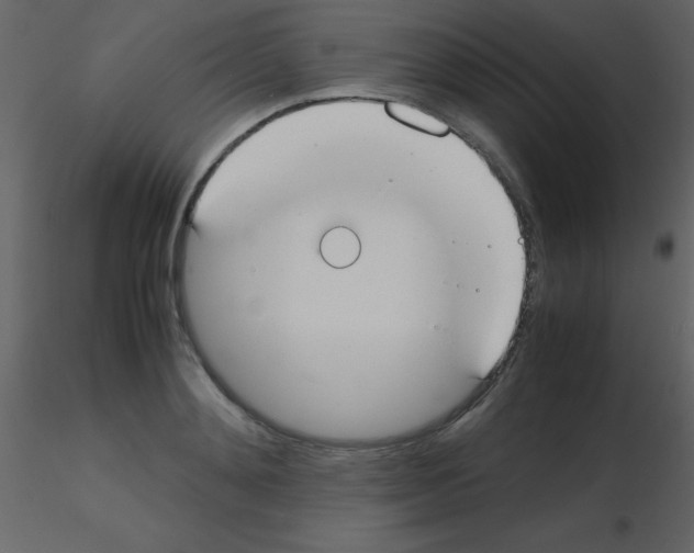 X0000115740892200912241645