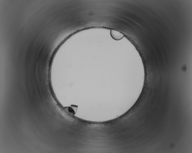 X0000115740894200912241645