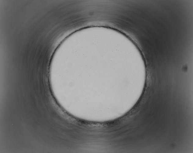 X0000115740895200912241645