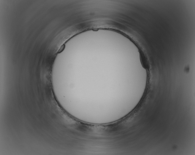 X0000115740897200912241645