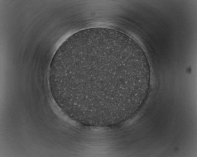 X0000115740899200912241645