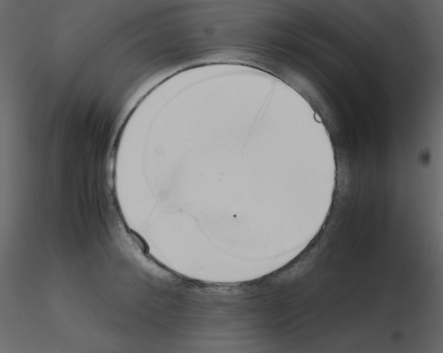 X0000115740900200912241644