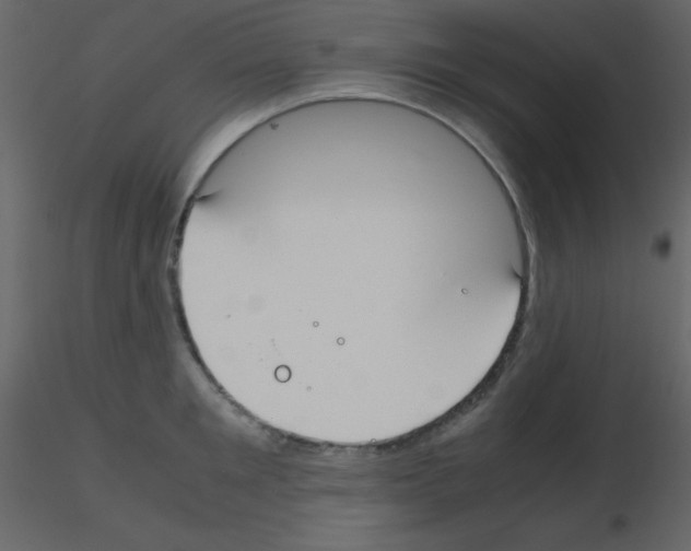 X0000115740901200912241644