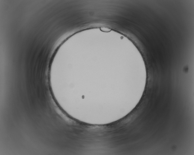 X0000115740902200912241644