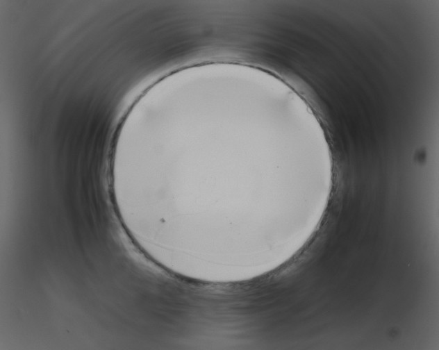 X0000115740904200912241644