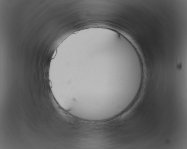 X0000115740905200912241644