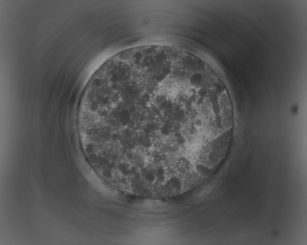 X0000115740907200912241644