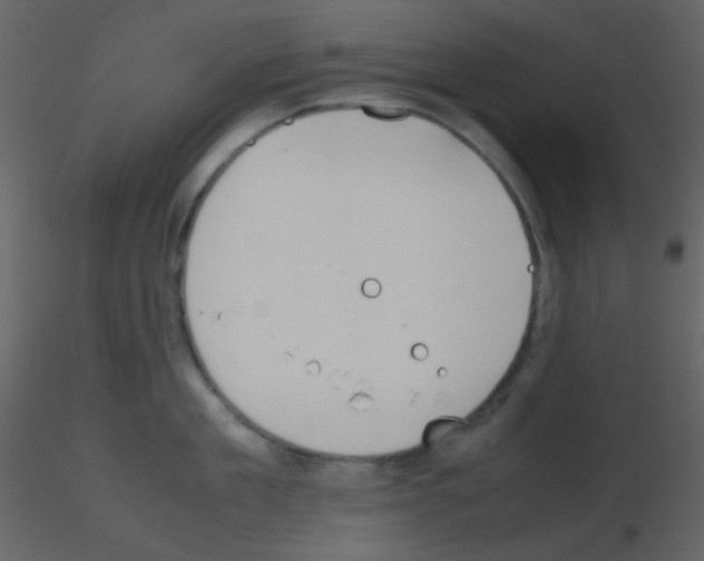 X0000115740909200912241644