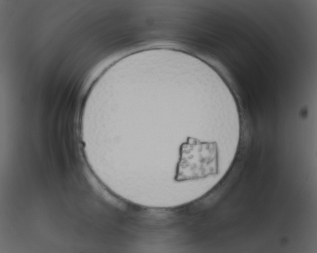 X0000115740910200912241644