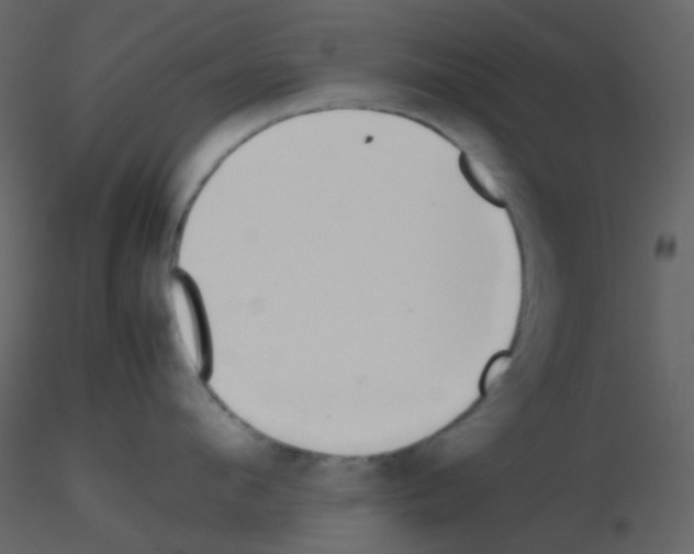 X0000115740912200912241644