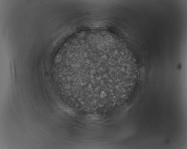 X0000115740913200912241644