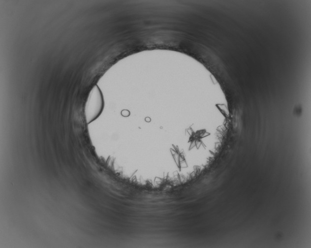 X0000115740915200912241644