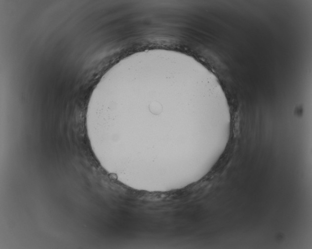 X0000115740917200912241644