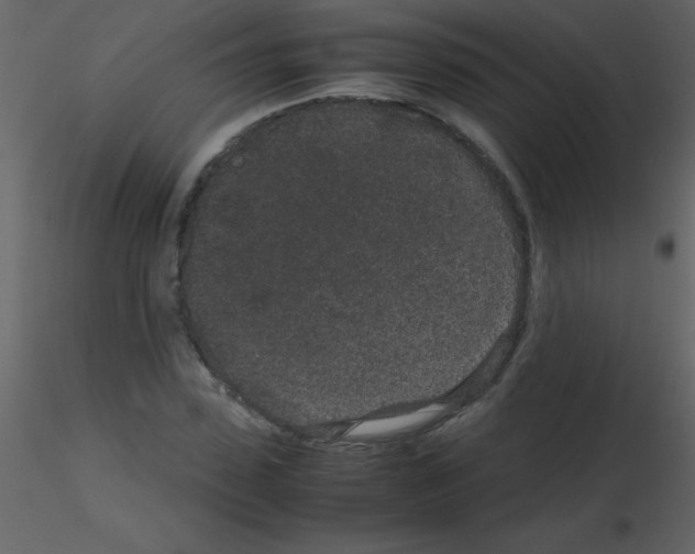 X0000115740923200912241644