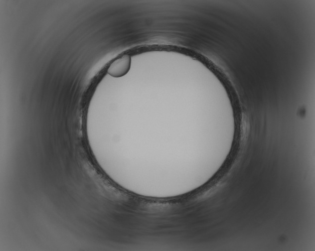 X0000115740925200912241644