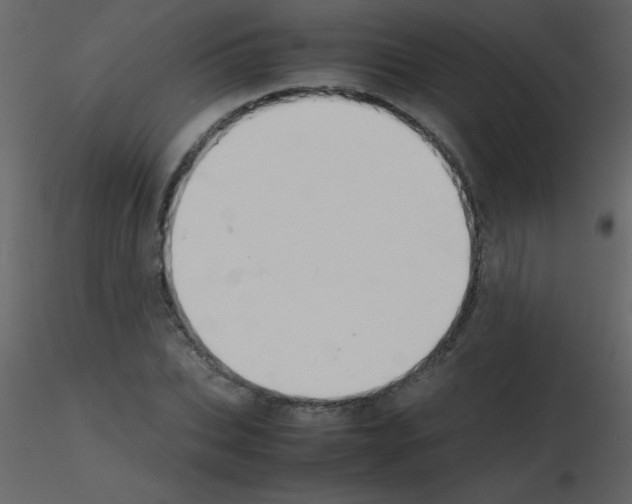 X0000115740927200912241644