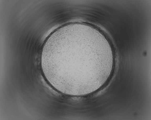 X0000115740929200912241644