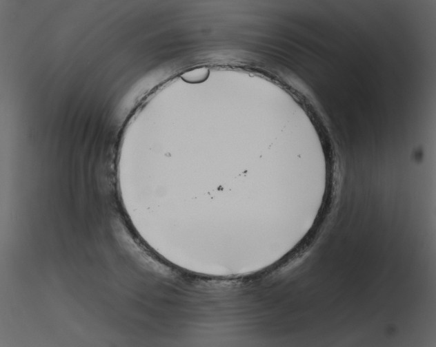 X0000115740930200912241644