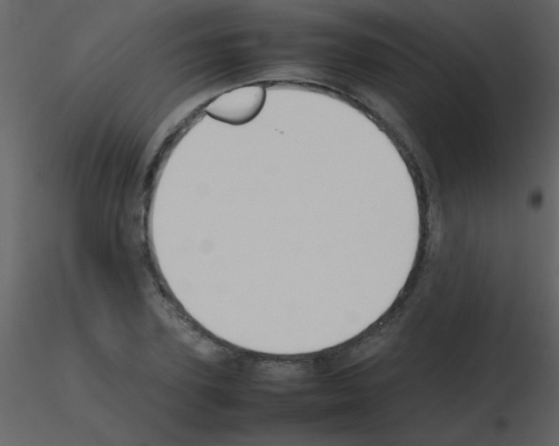 X0000115740931200912241644