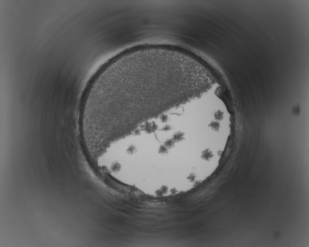 X0000115740935200912241644