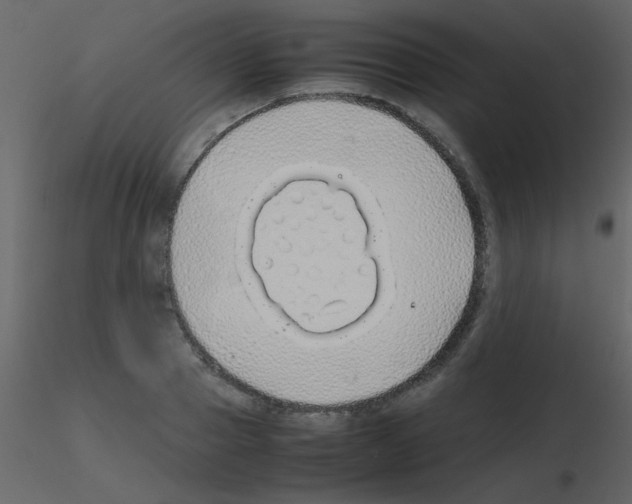 X0000115740937200912241644