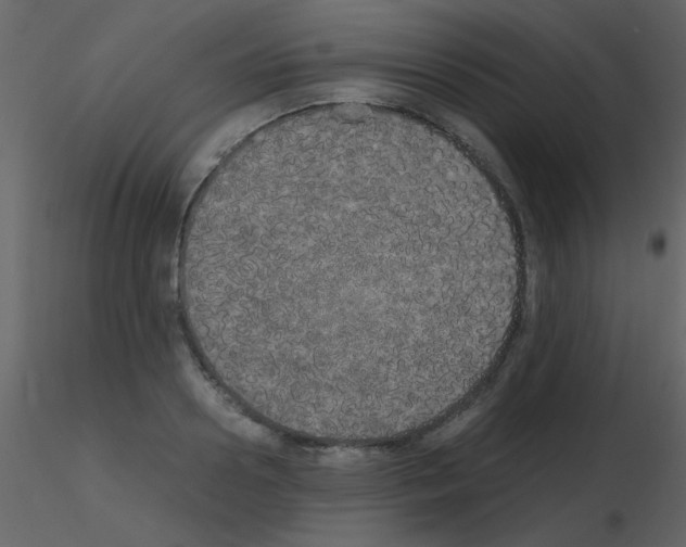 X0000115740938200912241644