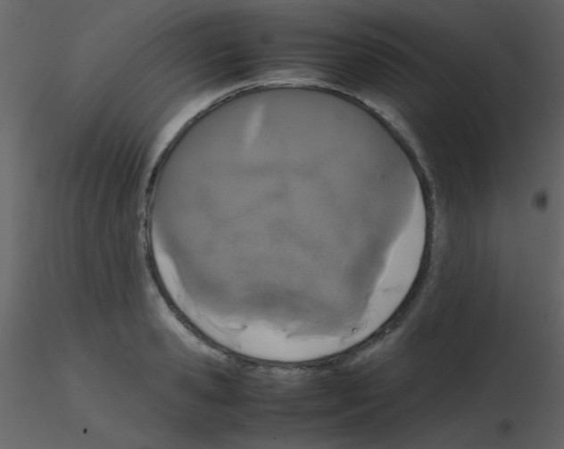 X0000115740941200912241644