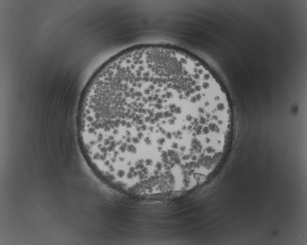 X0000115740943200912241644