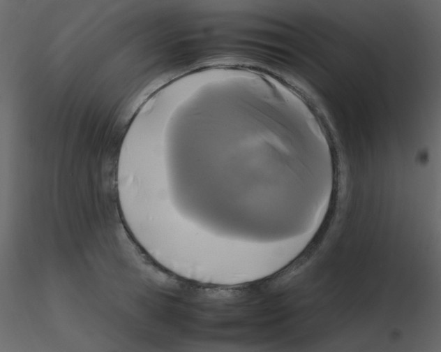 X0000115740945200912241644