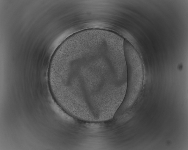 X0000115740946200912241644