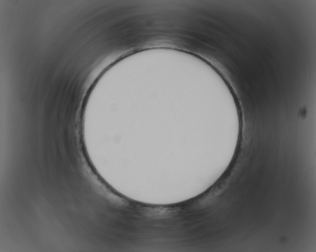 X0000115740949200912241644