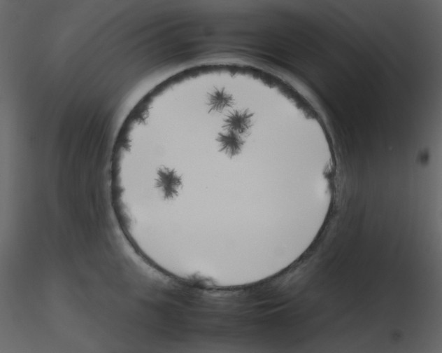 X0000115740951200912241644