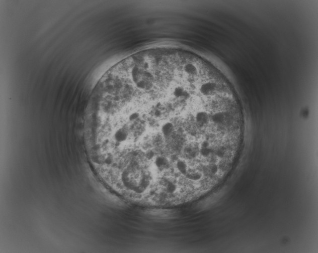 X0000115740953200912241644