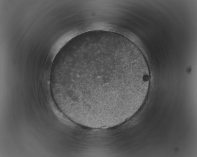 X0000115740954200912241644