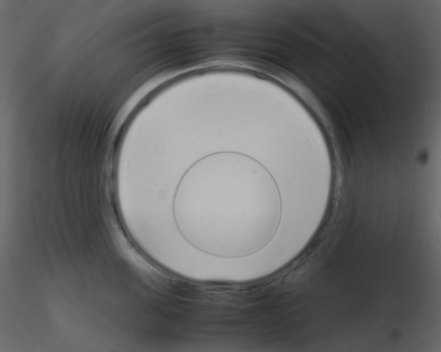 X0000115740955200912241644