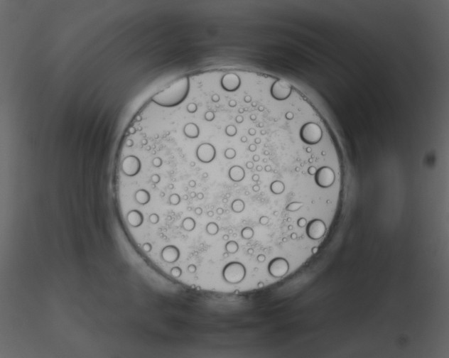 X0000115740957200912241644