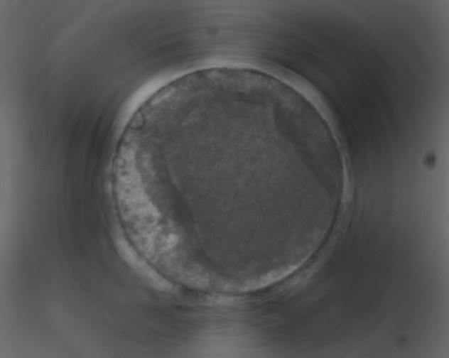 X0000115740958200912241644