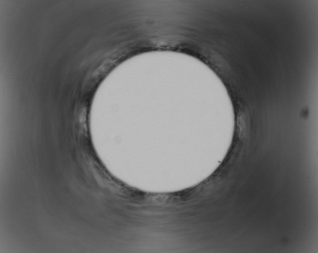 X0000115740963200912241644