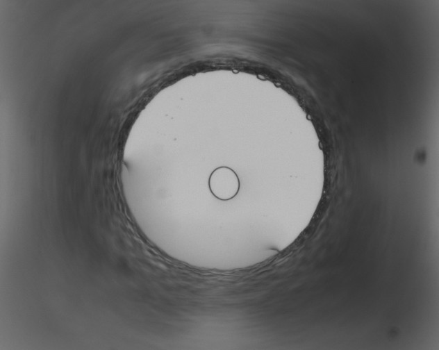 X0000115740965200912241644