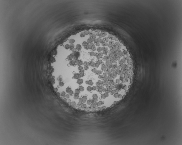 X0000115740966200912241644