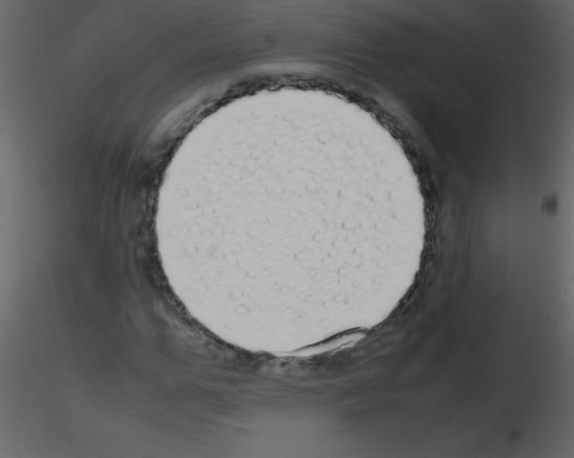 X0000115740967200912241644