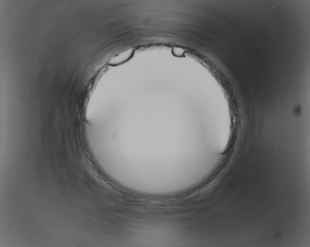 X0000115740969200912241644