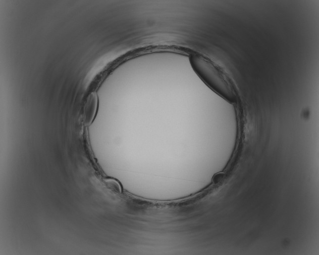 X0000115740973200912241644