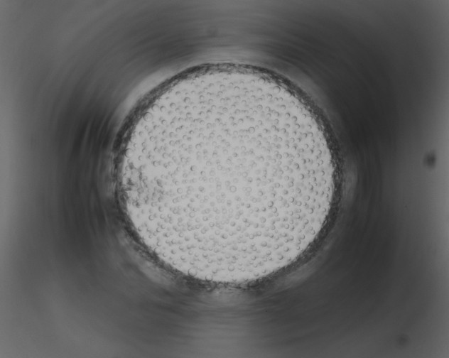 X0000115740974200912241643