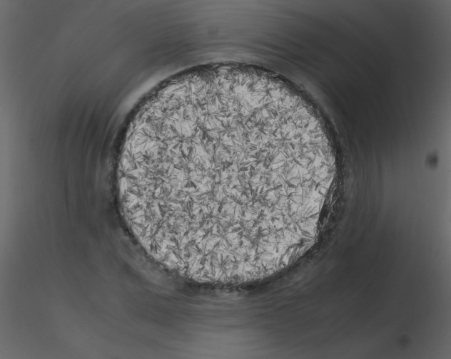 X0000115740975200912241643