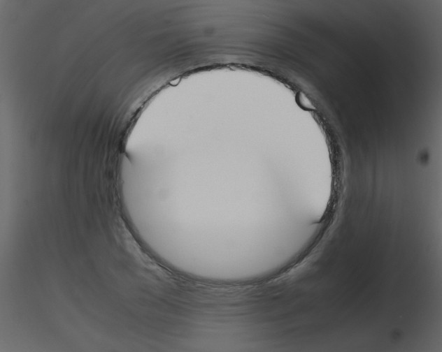 X0000115740977200912241643