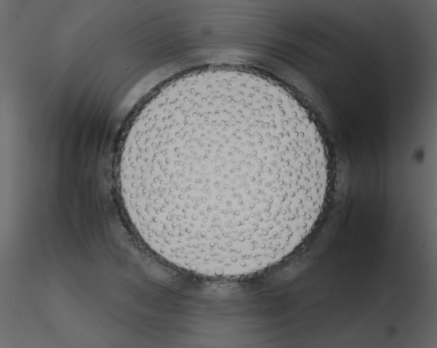 X0000115740978200912241643